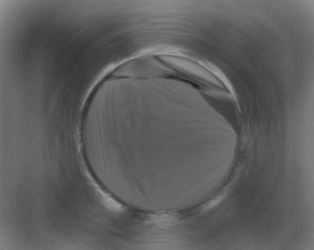 X0000081360997200702082316