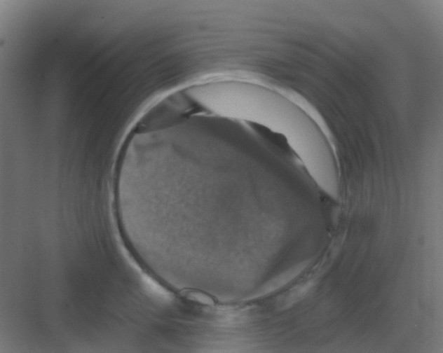 X0000081361005200702082315