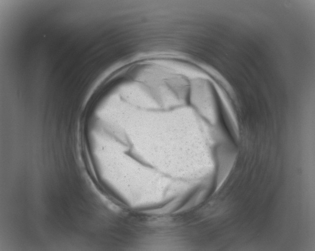 X0000081361006200702082315
