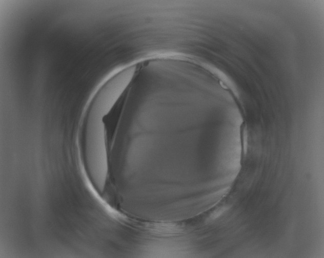 X0000081361007200702082315