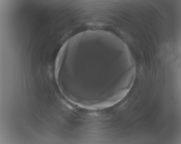 X0000081361010200702082315