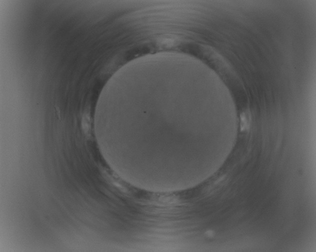 X0000081361011200702082315