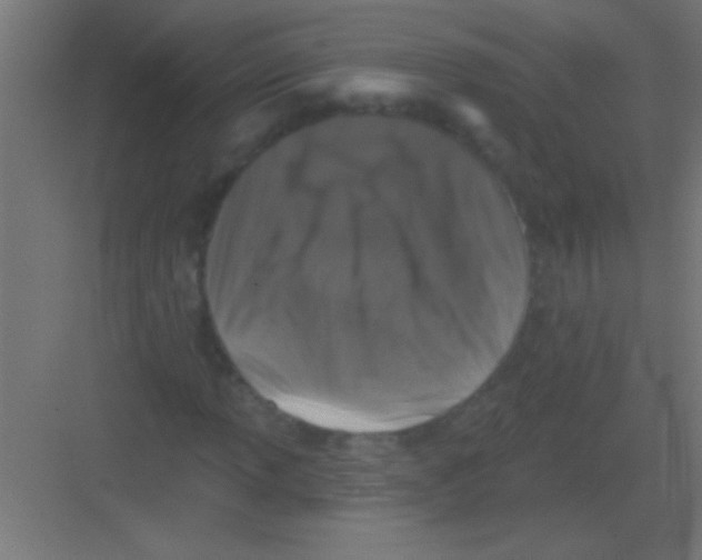 X0000081361013200702082315