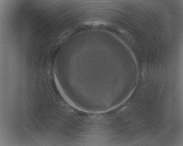 X0000081361014200702082315