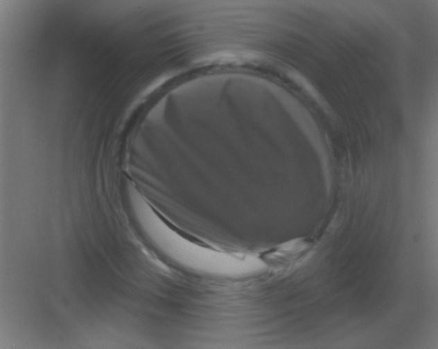 X0000081361018200702082315