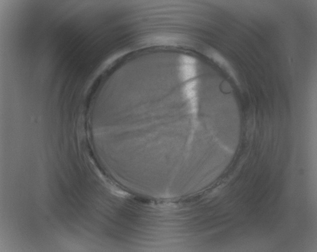 X0000081361019200702082315