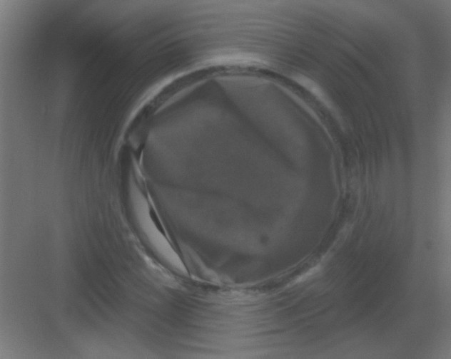 X0000081361022200702082315