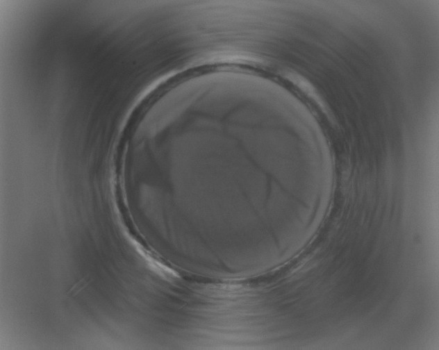 X0000081361024200702082315