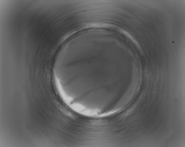 X0000081361025200702082315