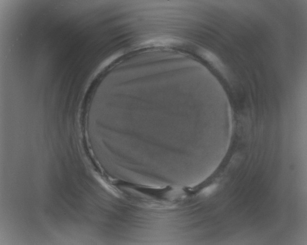X0000081361026200702082315