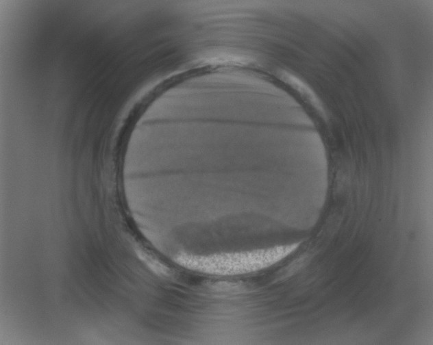 X0000081361027200702082315