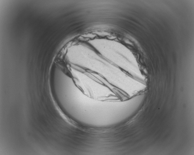X0000081361034200702082315