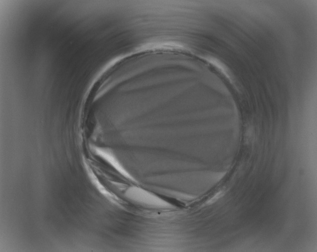 X0000081361038200702082315