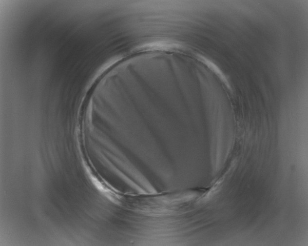 X0000081361042200702082315