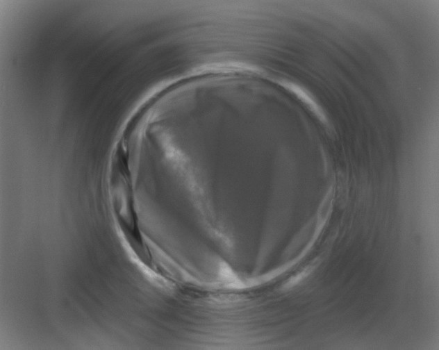 X0000081361046200702082315