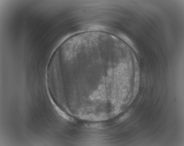 X0000081361047200702082315