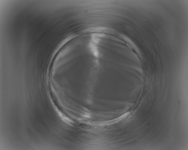 X0000081361050200702082315