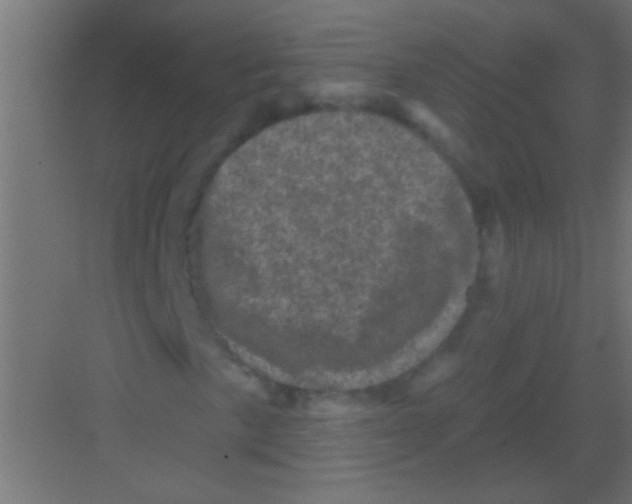 X0000081361057200702082315