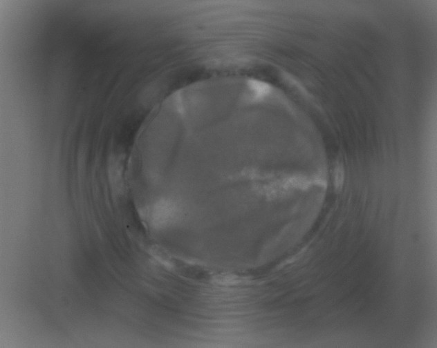 X0000081361059200702082314