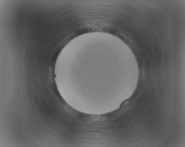 X0000081361060200702082314
