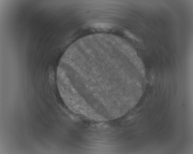 X0000081361061200702082314