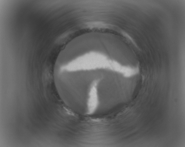 X0000081361063200702082314