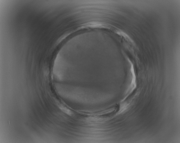 X0000081361065200702082314
