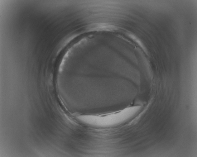 X0000081361066200702082314