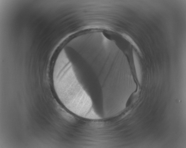 X0000081361068200702082314