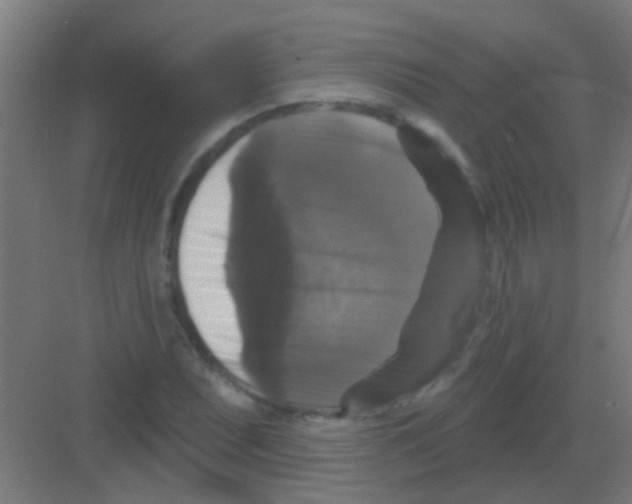X0000081361071200702082314