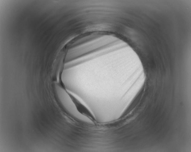 X0000081361073200702082314