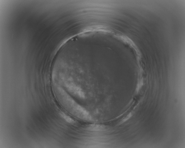 X0000081361081200702082314