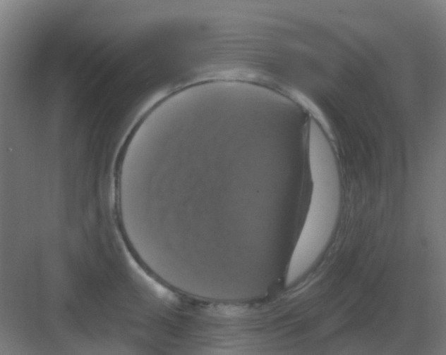 X0000081361095200702082314