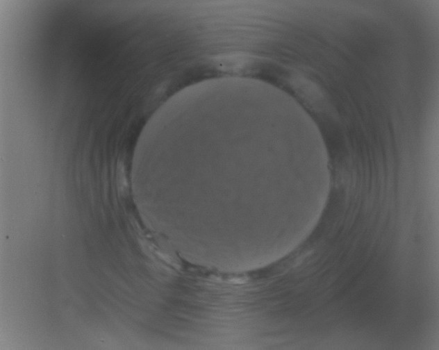 X0000081361106200702082313