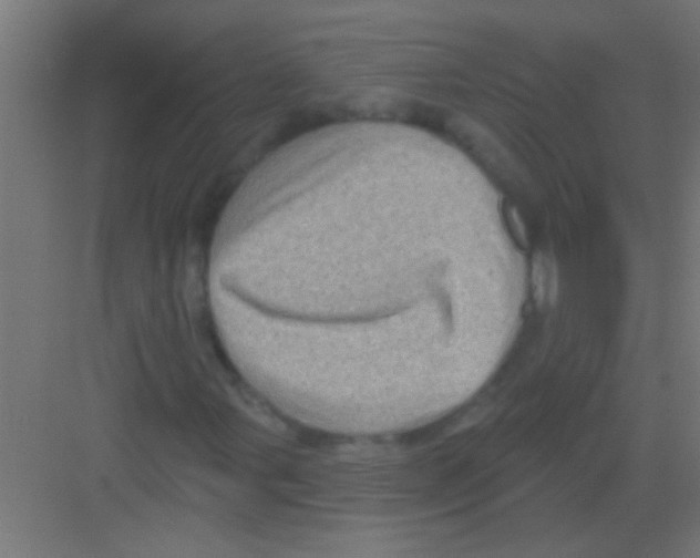 X0000081361107200702082313
