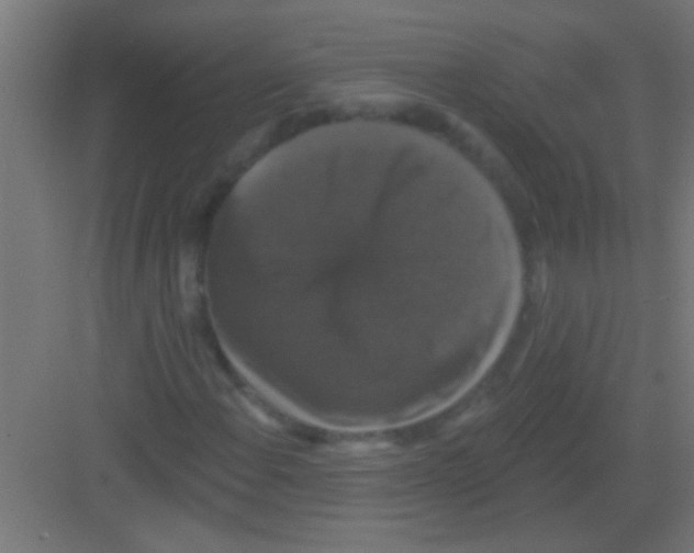 X0000081361108200702082313