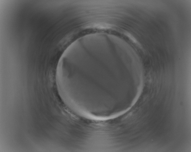 X0000081361110200702082313
