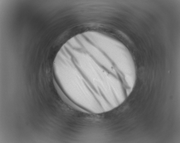 X0000081361111200702082313
