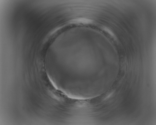 X0000081361112200702082313