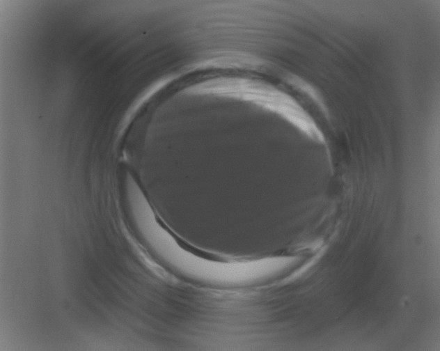 X0000081361114200702082313