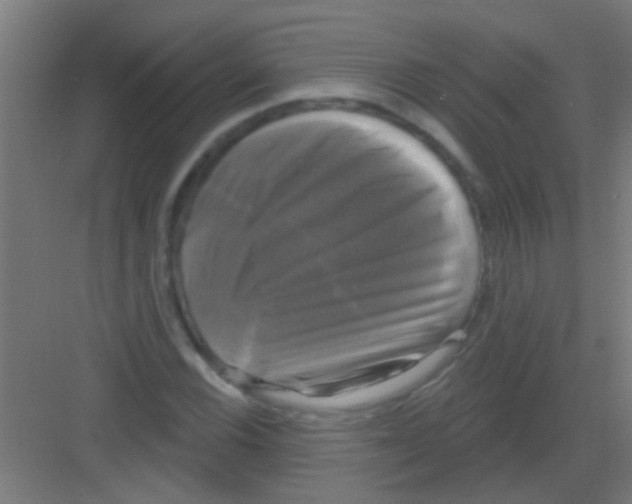 X0000081361116200702082313