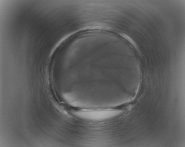 X0000081361120200702082313