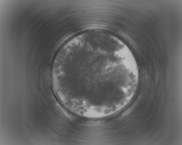 X0000081361121200702082313