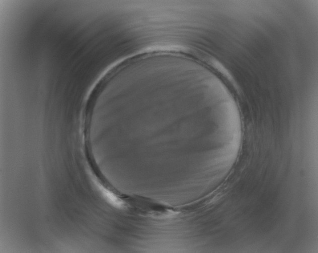 X0000081361124200702082313