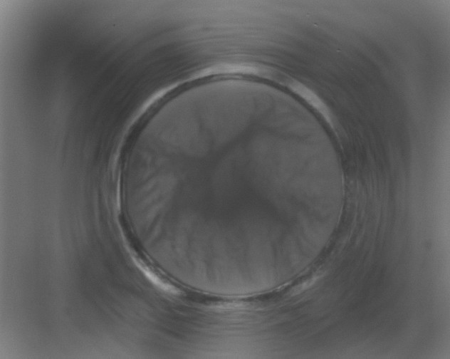 X0000081361127200702082313