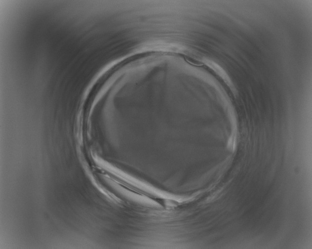 X0000081361128200702082313
