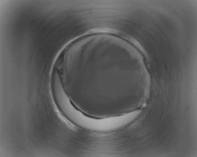 X0000081361132200702082313