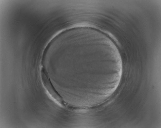 X0000081361134200702082313