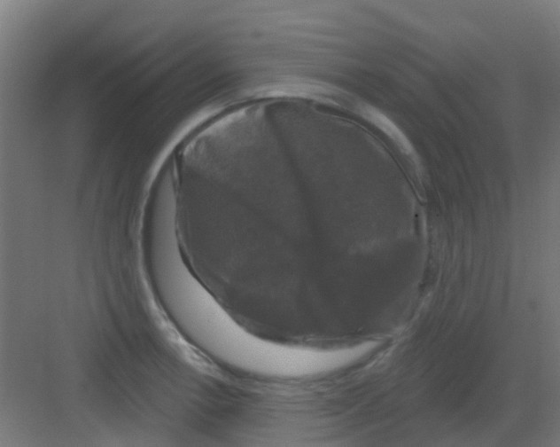 X0000081361138200702082313