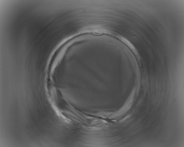 X0000081361144200702082314